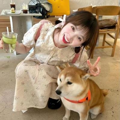 恶报
